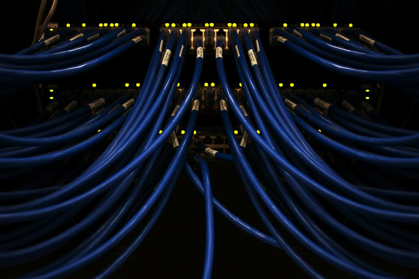 Blue network cables neatly connected into a patch panel